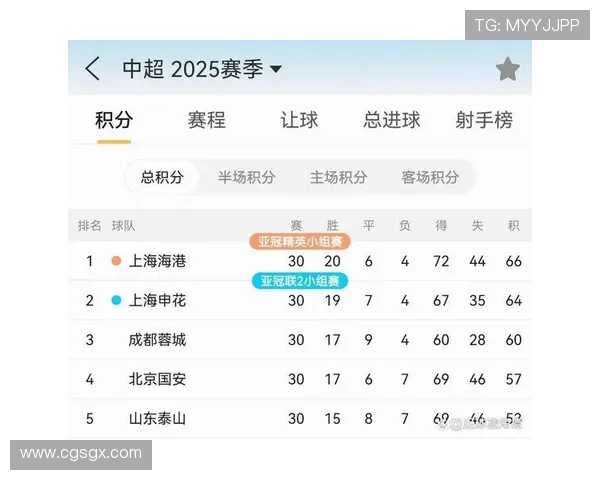 2025赛季中超主场成绩分析申花领跑海港紧随其后
